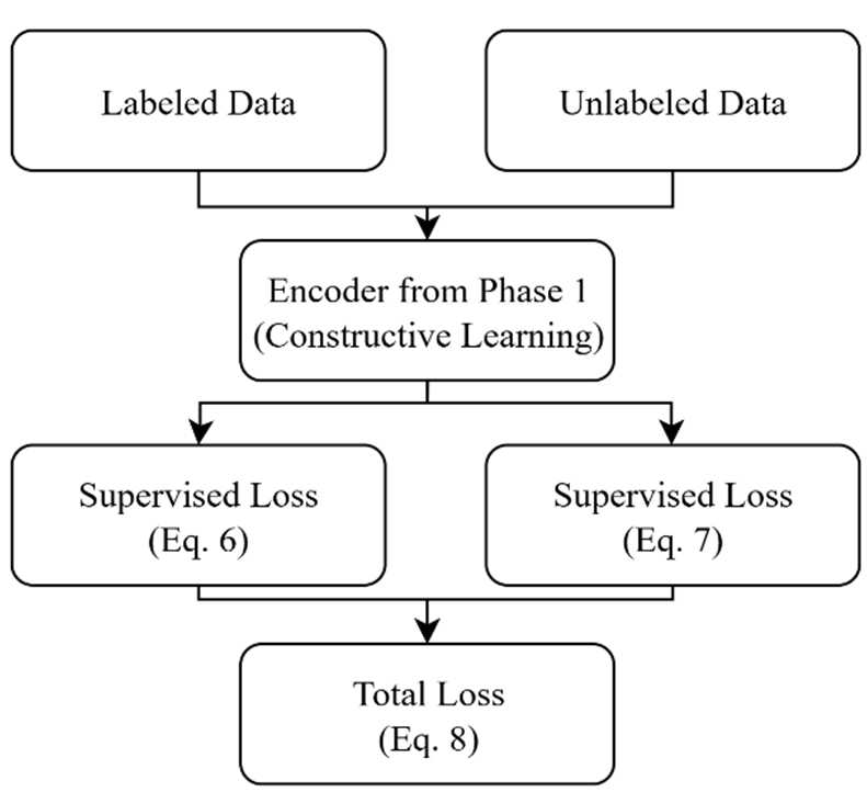 Classifier fine-tuning with pseudo-labeling